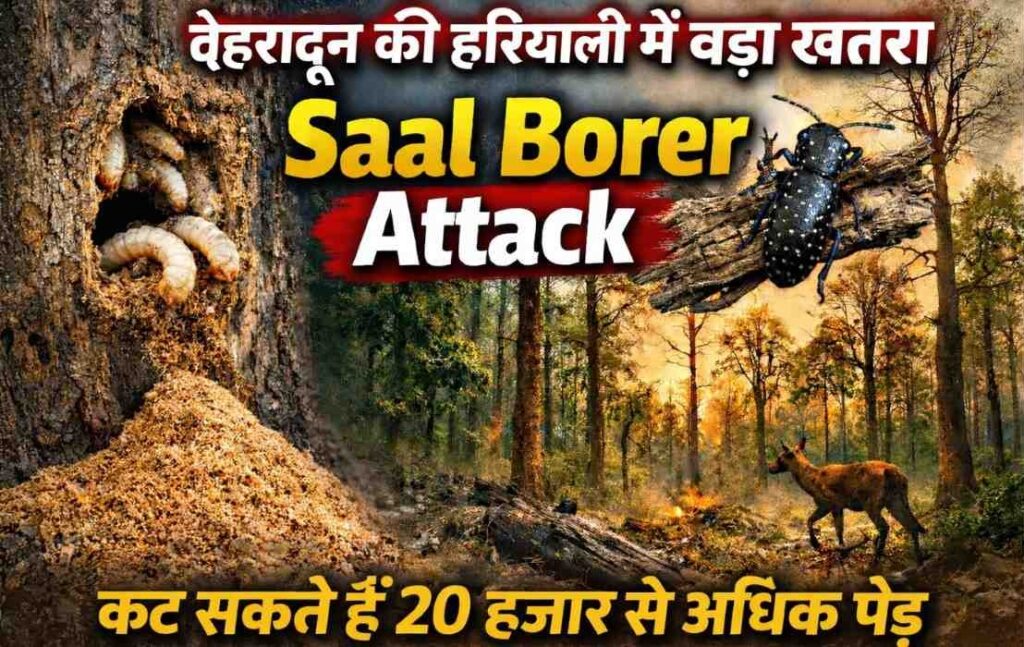 Dehradun Greenery In Danger :- देहरादून की हरियाली में बड़ा खतरा, कट सकते हैं 20 हजार से अधिक पेड़ !