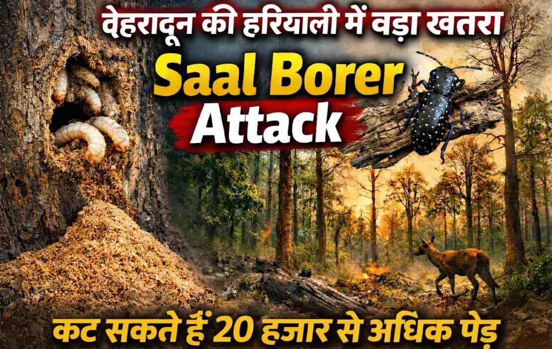 Dehradun Greenery In Danger :- देहरादून की हरियाली में बड़ा खतरा, कट सकते हैं 20 हजार से अधिक पेड़ !