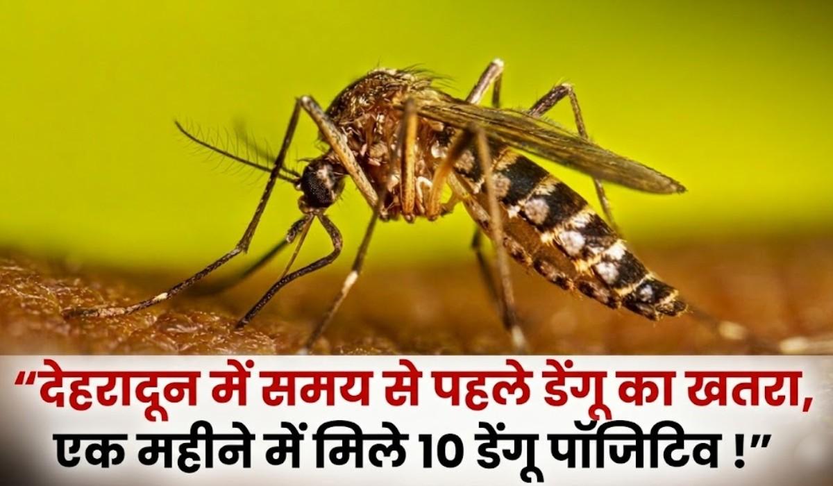 Dehradun Dengue Cases :- देहरादून में समय से पहले डेंगू का खतरा, एक महीने में मिले 10 डेंगू पॉजिटिव !