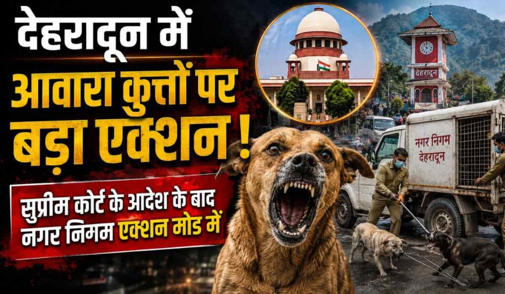 Strict action against stray dogs in Dehradun :- सुप्रीम कोर्ट के सख्त रुख के बाद देहरादून में आवारा कुत्तों पर होगा बड़ा एक्शन !