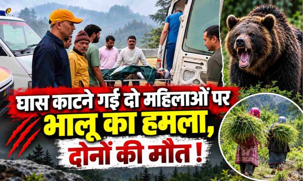 Bear Attack in Pokhari Uttarakhand :- घास काटने गई दो महिलाओं पर भालू का हमला, दोनों की मौत !