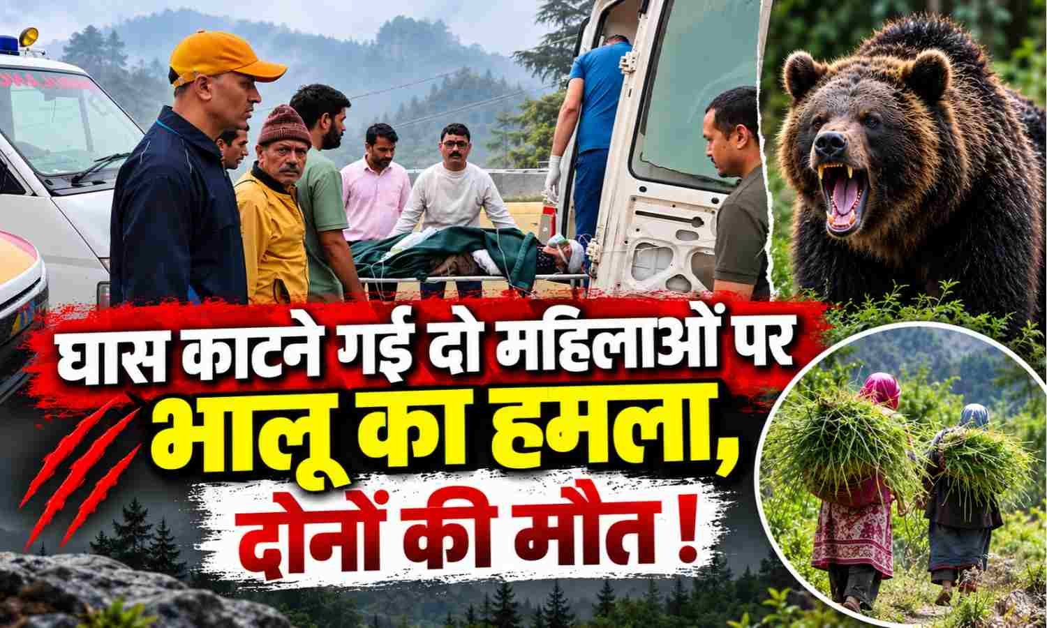 Bear Attack in Pokhari Uttarakhand :- घास काटने गई दो महिलाओं पर भालू का हमला, दोनों की मौत !